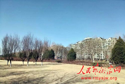 ����Ԫɢ�ģ����Բ����ԣ��������¶�ʮһ��ԭ����