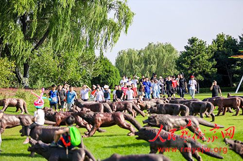 �������߽���������-�������������ڱ������ƿ�Ļ