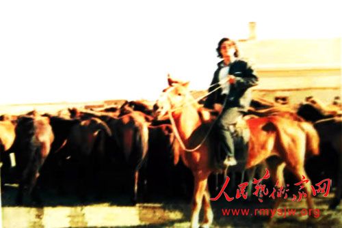 �����ܻ�������