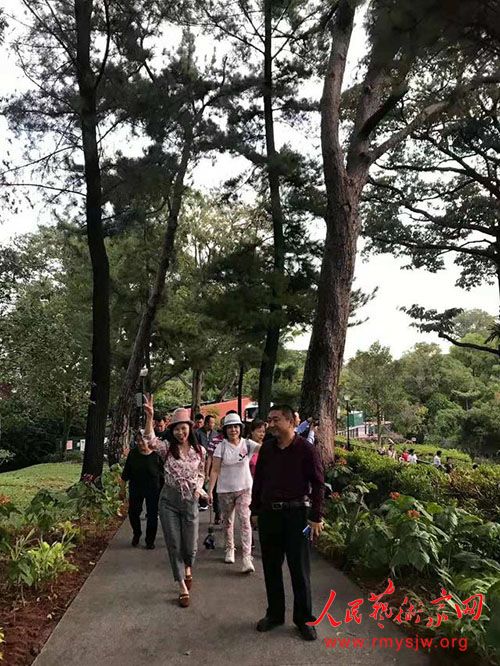 �������º���������45�����黭չ��������