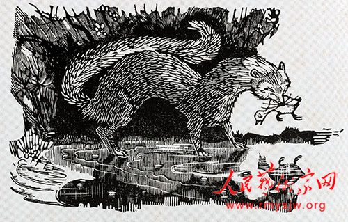 ����ľ����������滭����չ���ھ��ٰ�