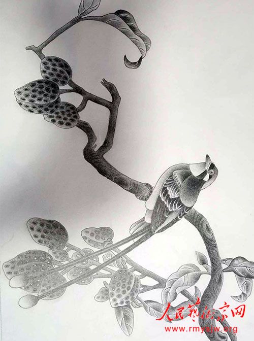 ���绪������Ʒ����