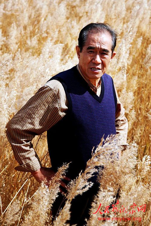 �ӱ�ʡ�����Ļ��ٽ����������ʡ����ոѴ�ʦ�����޷�������ʮ���黭��