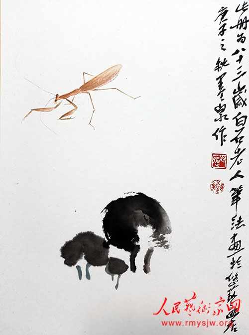 ��·ͨ������Ʒ����