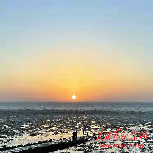 ��С�죺���ճ� ��ɢ�ģ�