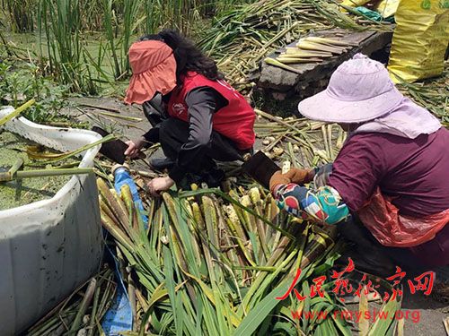 ���������ܶ��� | �º�ΰ����ϵһ���Ե��� ��������������