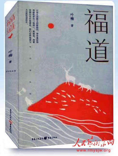 ��������ӽ÷�㡪��Ҷ÷������������