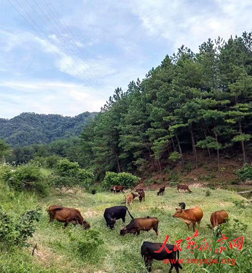 �����Ĺ�����ģʽ�����������˾��������㽭ʡ�������˴����������